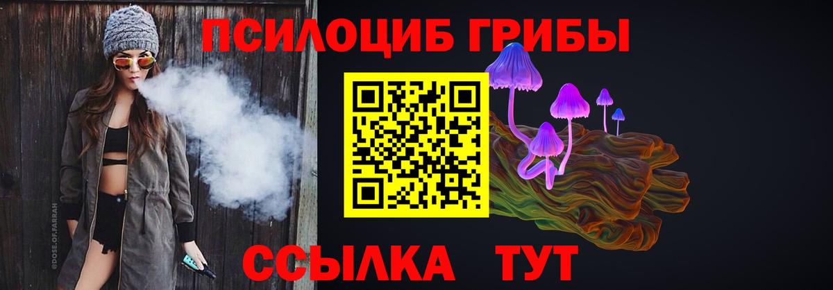 Галлюциногенные грибы MAGIC MUSHROOMS  Вход с VPN  Ногинск 